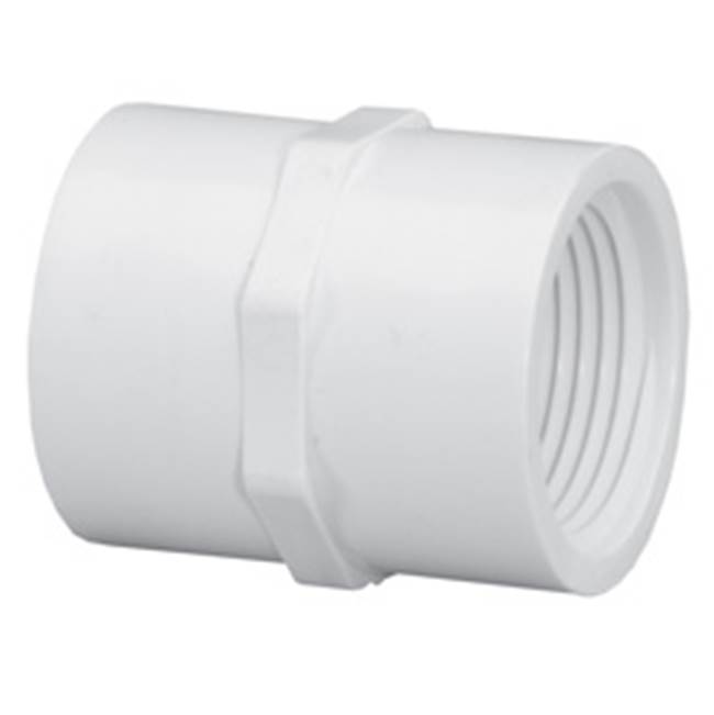 Westlake Pipes & Fittings 1 1/4'' Pvc Sch 40 Coupling (Fipt)
